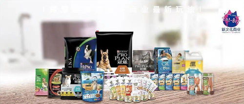 雙11寵物市場悖論 廠商突圍，電商敗退，長沙文化創意新視野