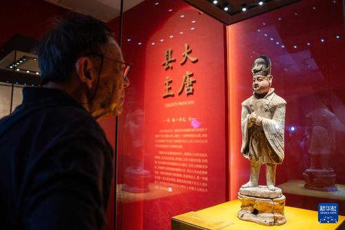 大唐金鄉(xiāng)縣主特展在長(zhǎng)沙博物館開(kāi)幕，文創(chuàng)融合再現(xiàn)盛唐風(fēng)華